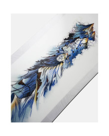 Board de snowboard JONES Frontier 2.0 Homme