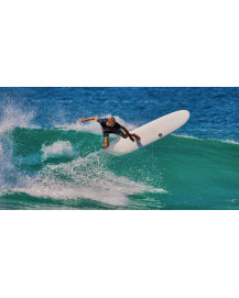 Surf NSP - Nsp Protech Longboard