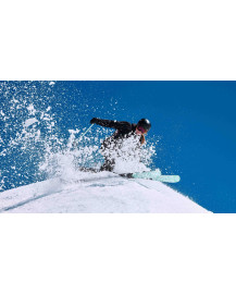 Skis BLACK CROWS Captis Birdie