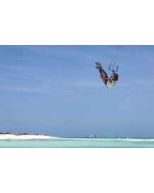 Surfkite DUOTONE Whip D/lab 2027